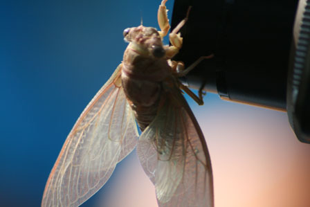 fim_2008 (120)