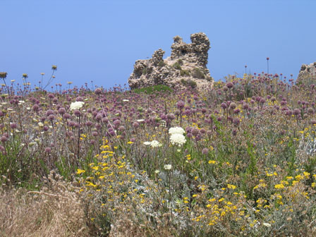 fim_2008 (187)