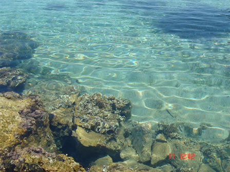 fim_2008 (197)