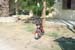 fim_2008 (246)